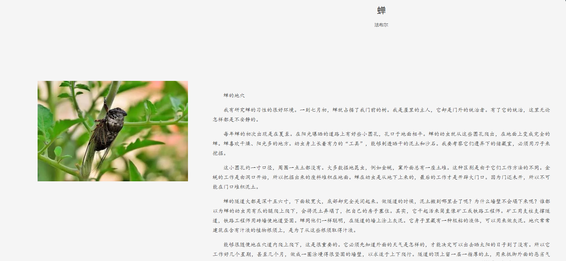 诵读蝉