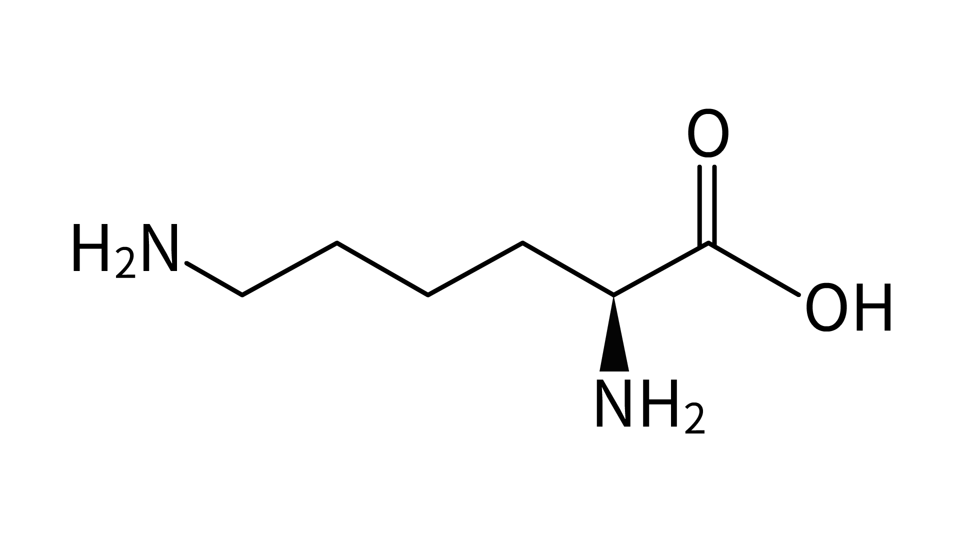 赖氨酸
