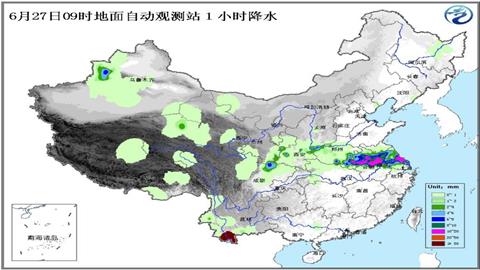 自动观测站一小时降水