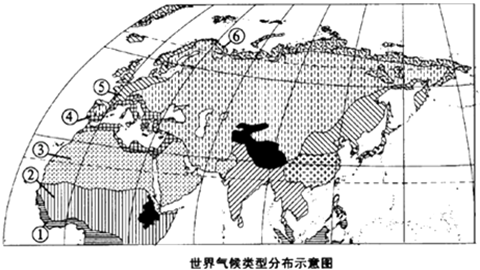 气候类型的分布