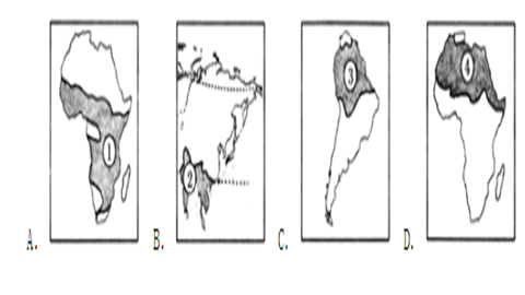 气候类型的分布