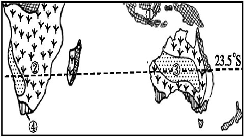 世界局部气候类型分布图