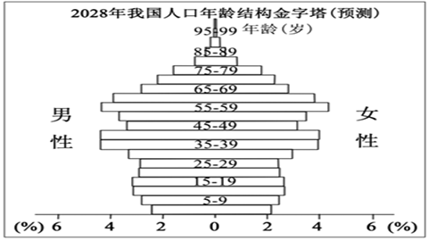 2028年我国人口年龄结构金字塔(预测)