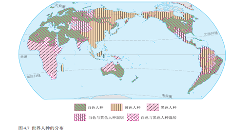 世界人种的分布