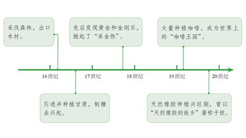 森林减少的原因