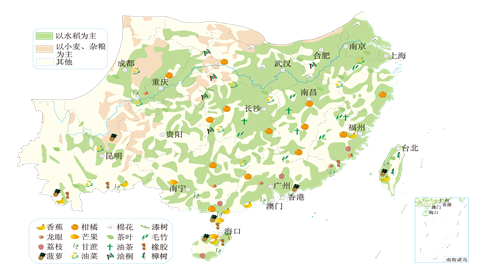 南方地区主要农作物