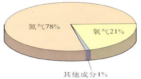图片我们周围的空气成分示意图