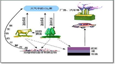 图片炭和炭的氧化物-碳循环