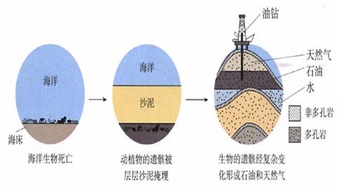 图片石油和天然气的形成