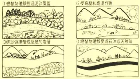 图片石油的形成