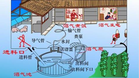 图片沼气的制取及利用