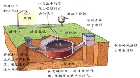 图片沼气池