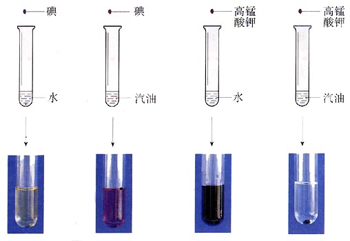 图片碘或高锰酸钾分别放入水或汽油中