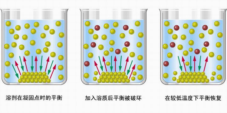 图片溶解动态平衡图解