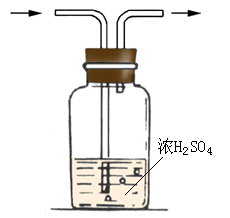 图片浓硫酸的吸水性