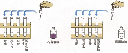 图片向溶液中加入酸碱指示剂