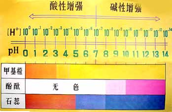 图片测定溶液的酸碱度