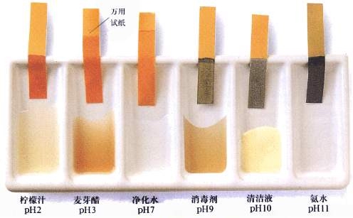 图片ph试纸测溶液的酸碱性
