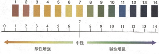 图片PH和溶液的酸碱性