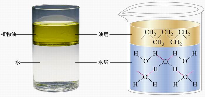 图片植物油与水不互溶