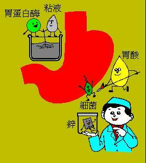 图片胃蛋白酶