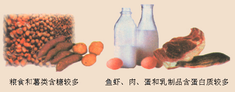 图片食物中的营养素