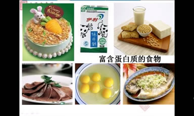 图片人类重要的营养物质