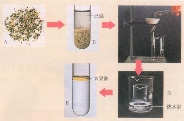 图片油脂的提取