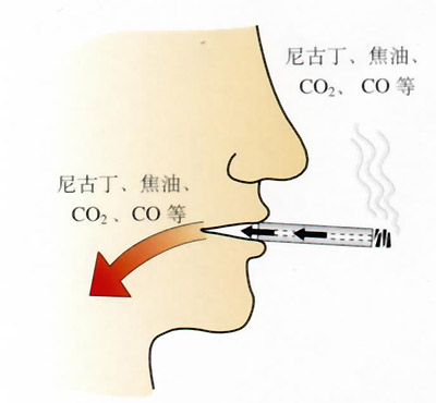 图片香烟烟气中的有毒物质