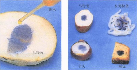 图片用碘水检验淀粉