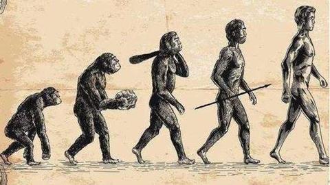 图片人类进化