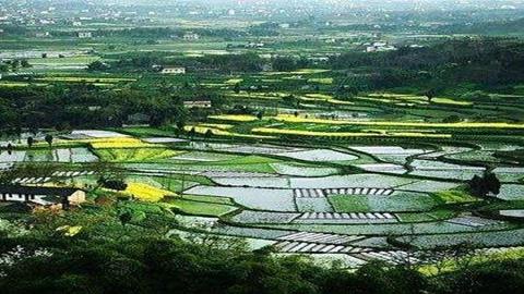 图片江南地区的开发——湖田