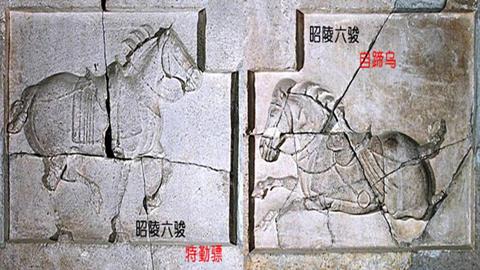 图片昭陵6骏