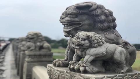 图片卢沟桥上的石狮