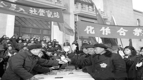 图片手工业合作社