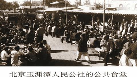图片公社食堂