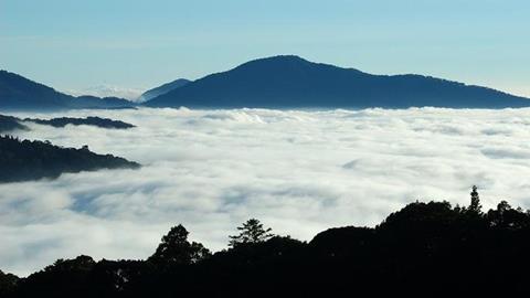 图片阿里山