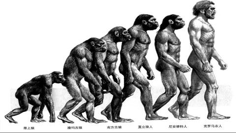 图片物种进化