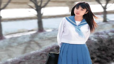 图片淡彩表现法