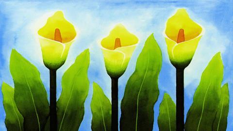 图片油画_马蹄莲