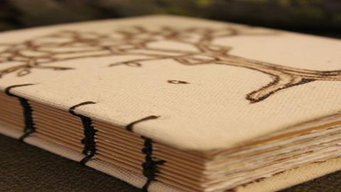 图片手工书作品