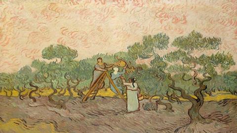 图片摘橄榄的女人们