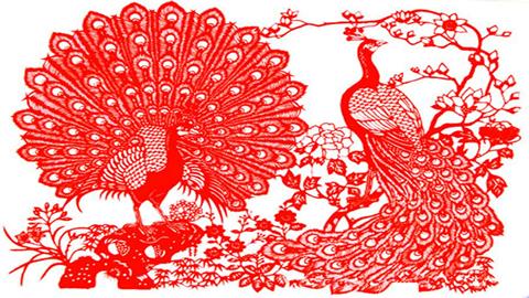 图片剪纸孔雀