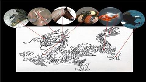 图片龙的身体构成