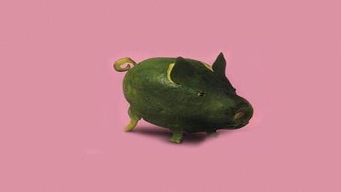 图片《生肖的联想》图片：猪