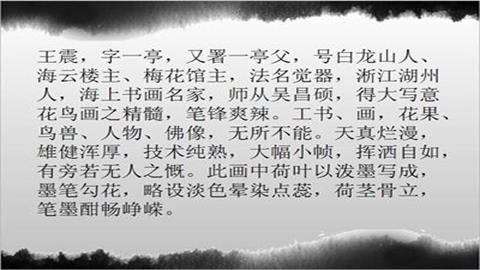 图片王震简介