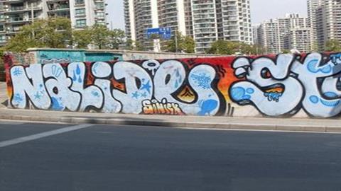 图片《美术是人类文化的造型载体》图片：建筑艺术_涂鸦艺术