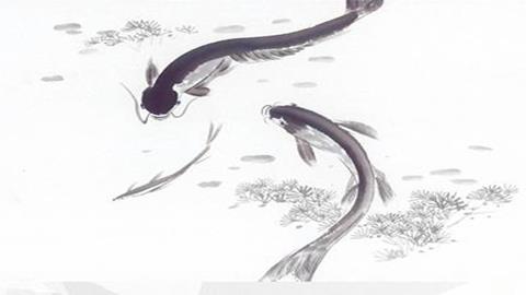图片《中国山水画》图片：鱼