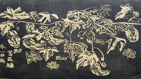 图片学生作品_单色版苦瓜藤