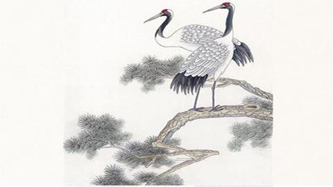 图片《工笔花卉》图片：白鹤